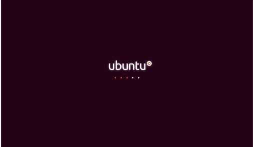 Screenshot Ubuntu Lucid Lynx