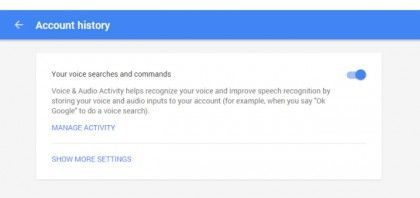 Google-Voice-Search desactivar